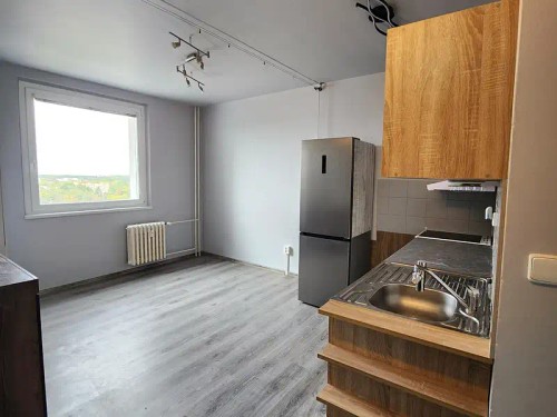 Prodaný  byt 1+1 43 m²