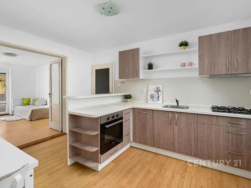 Prodej bytu 2+1 49 m²