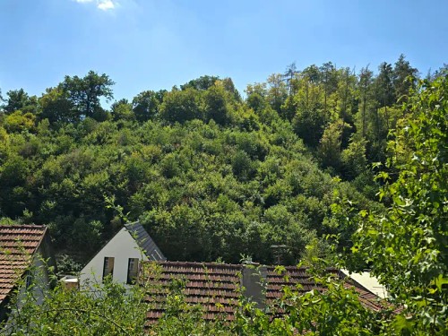 Prodej domu 56 m², pozemek 245 m²