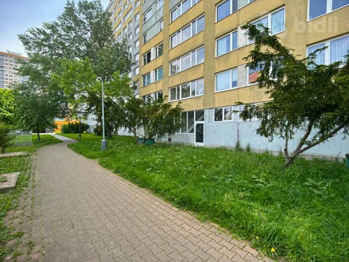 Prodaný byt 1+1 42 m²