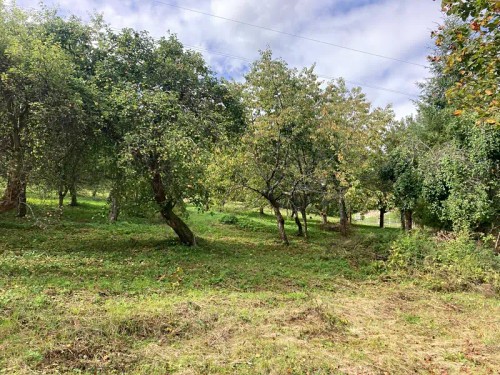 Prodej stavebního pozemku 1132 m²