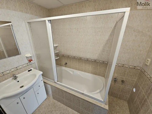 Prodaný  byt 3+1 69 m²