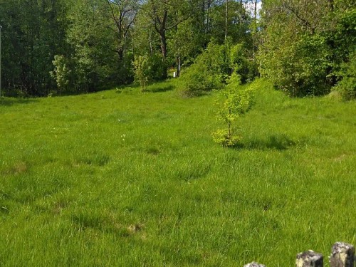 Prodej stavebního pozemku 1763 m²