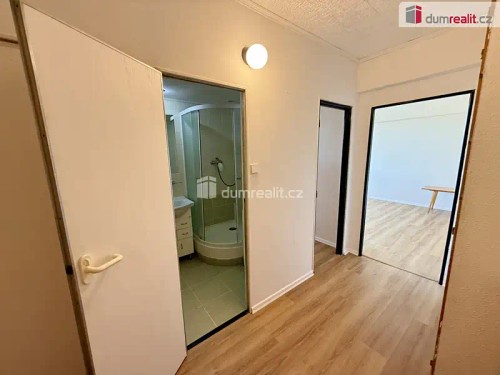 Prodaný byt 1+1 43 m²