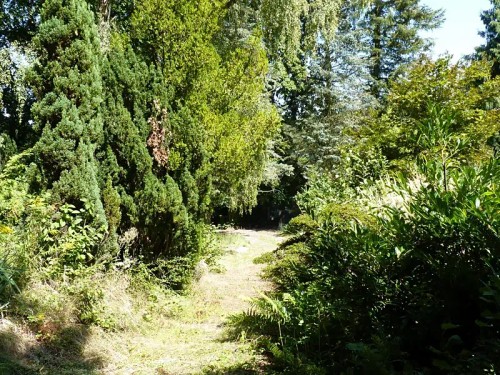Prodej stavebního pozemku 770 m²
