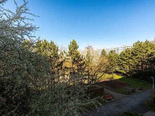 Prodaný byt 3+kk 81 m²