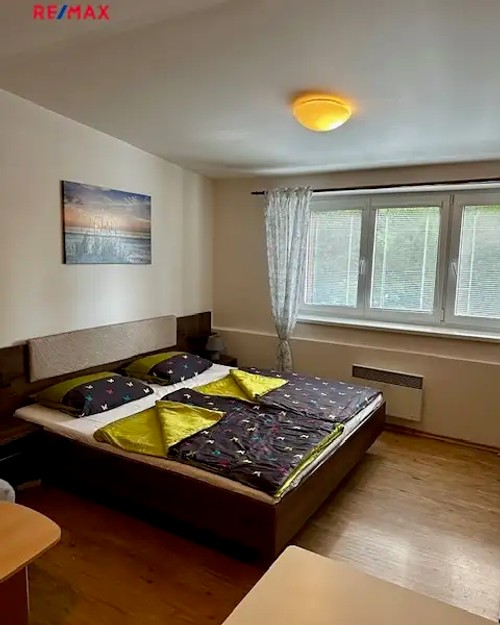 Prodaný byt 1+kk 29 m²