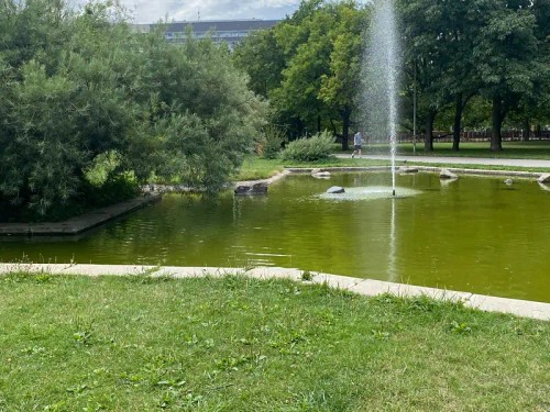 Prodaný  byt 3+1 67 m²