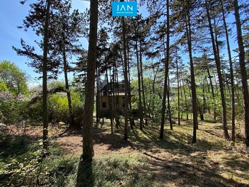 Prodej domu 307 m², pozemek 3962 m²