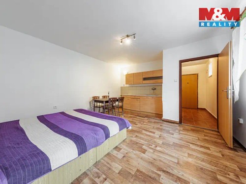 Prodaný byt 1+kk 34 m²