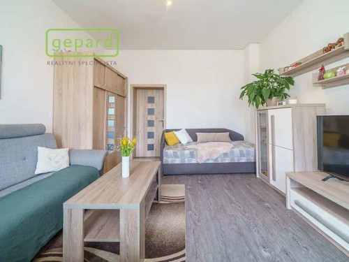 Prodej bytu 1+1 38 m²