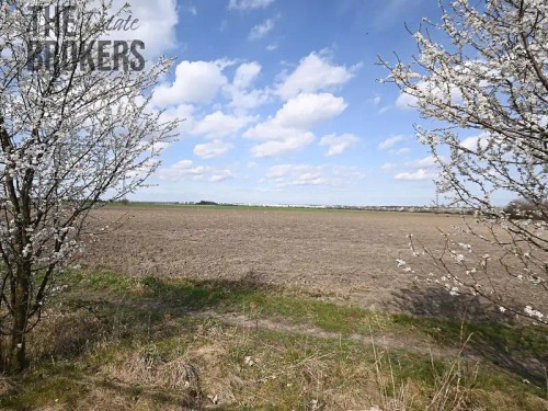 Prodej domu 120 m², pozemek 722 m²