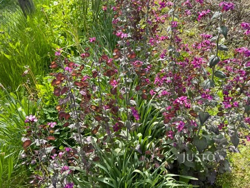 Prodej chaty 12 m², pozemek 400 m²