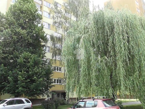Prodej bytu 4+1 68 m²