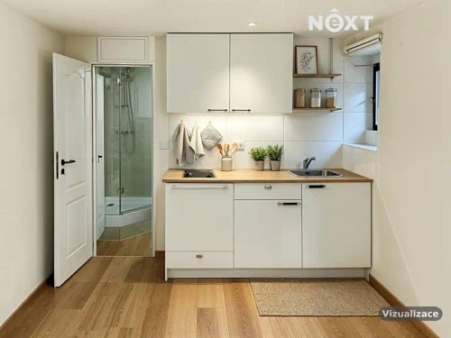 Prodej bytu 1+1 45 m²