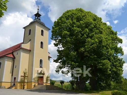 Prodej domu 100 m², pozemek 543 m²