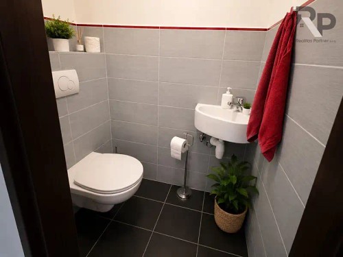 Prodej domu 319 m², pozemek 1006 m²