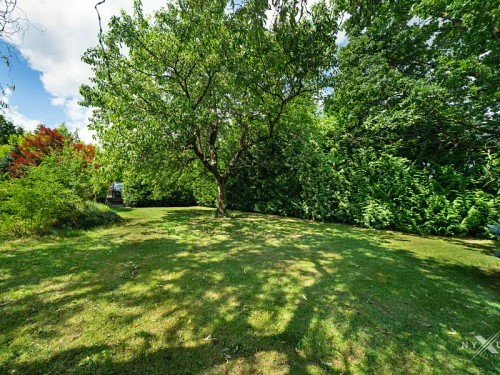 Prodej stavebního pozemku 1081 m²