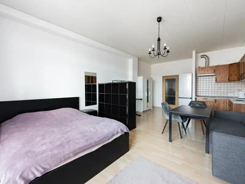 Prodaný byt 1+kk 46 m²