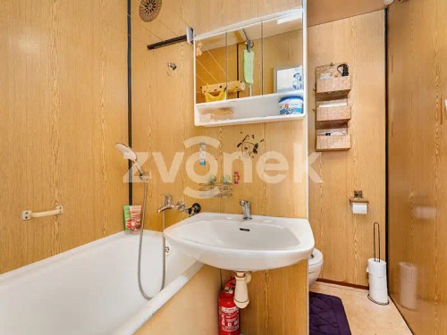 Prodej bytu 2+1 45 m²