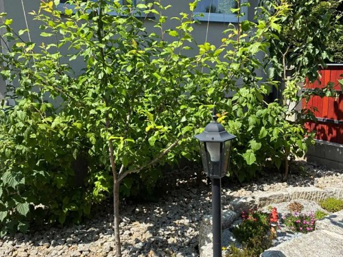 Prodej domu 194 m², pozemek 355 m²