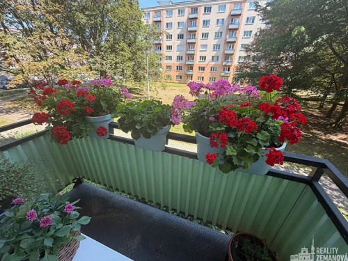 Prodej bytu 2+1 63 m²