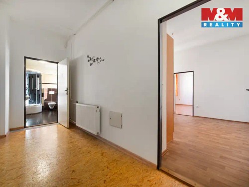 Prodaný byt 1+1 60 m²
