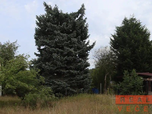 Prodej domu 180 m², pozemek 702 m²