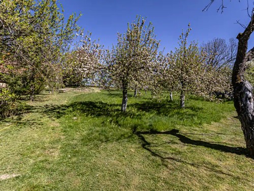 Prodej domu 200 m², pozemek 3642 m²