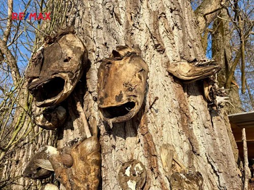 Prodej chaty 12 m², pozemek 4790 m²