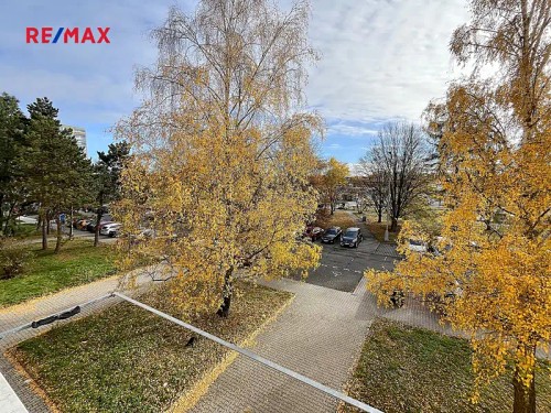 Prodaný byt 1+kk 27 m²