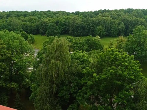 Prodaný byt 3+1 54 m²