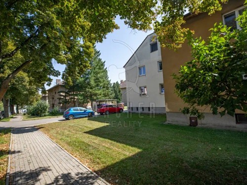 Prodej bytu 3+1 64 m²