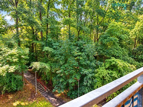 Prodej bytu 3+1 65 m²