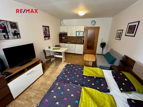 Prodaný byt 1+kk 29 m²