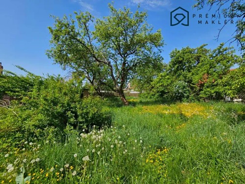 Prodej domu 250 m², pozemek 752 m²