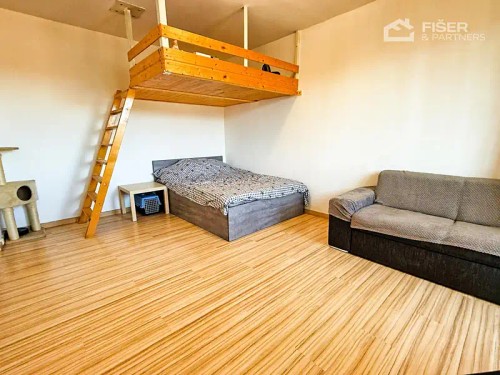 Prodaný byt 1+1 32 m²