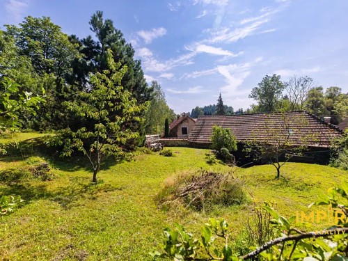 Prodej domu 300 m², pozemek 2937 m²