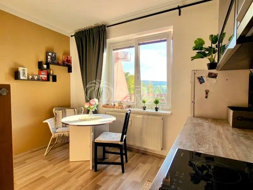 Prodaný  byt 1+1 38 m²