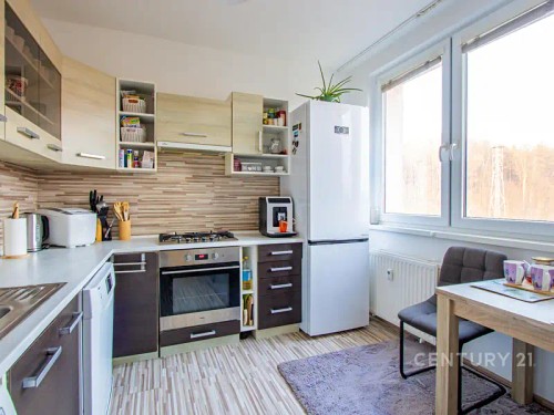 Prodej bytu 3+1 61 m²