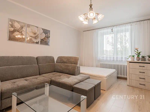 Prodej bytu 1+1 42 m²