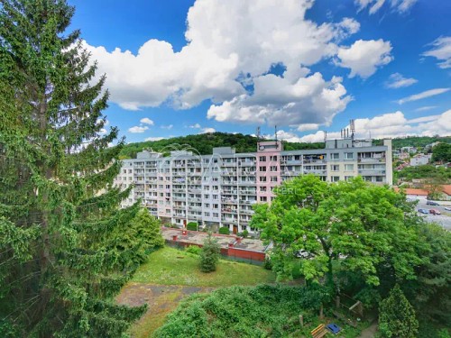 Prodej bytu 2+1 47 m²
