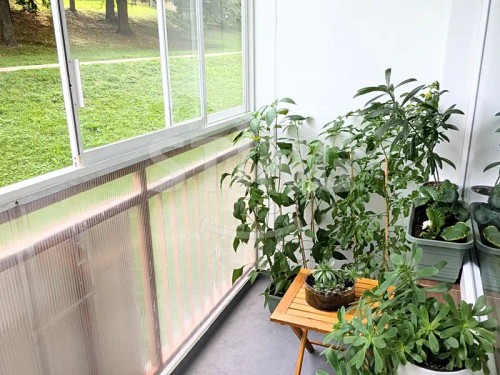 Prodej bytu 1+1 41 m²