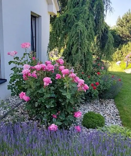 Prodej domu 233 m², pozemek 1279 m²