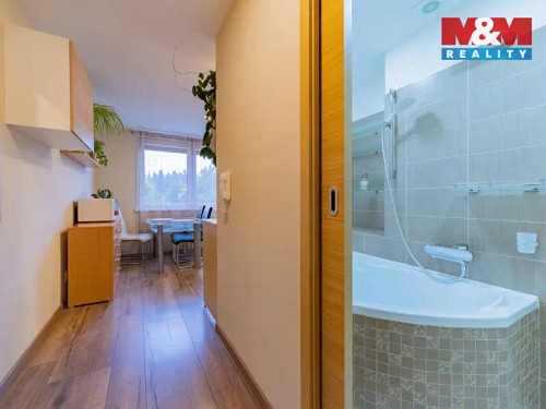 Prodaný  byt 1+1 37 m²