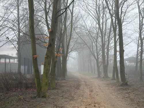 Prodaný byt 2+kk 45 m²