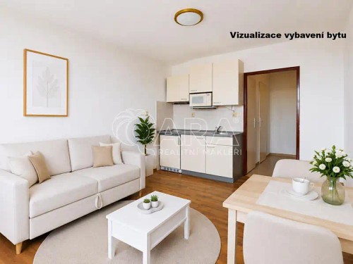 Prodaný byt 1+kk 24 m²