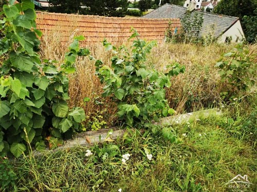 Prodej domu 99 m², pozemek 359 m²