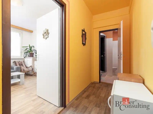 Prodej bytu 2+1 49 m²