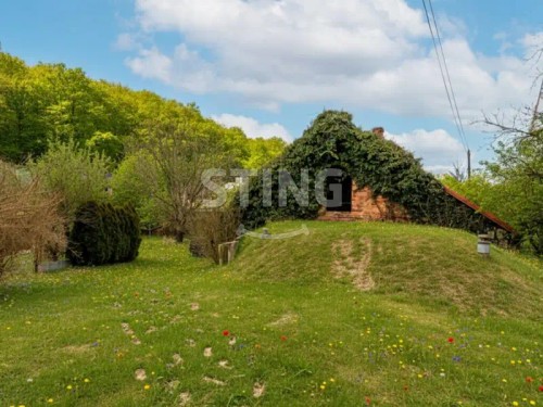 Prodej domu 319 m², pozemek 1624 m²